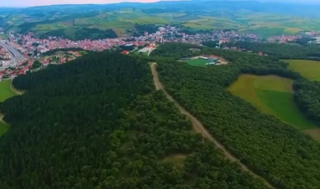 Kılavuz Ormanı, oksijen deposu olmaktan çıkıp mesire alanına dönüşüyor!