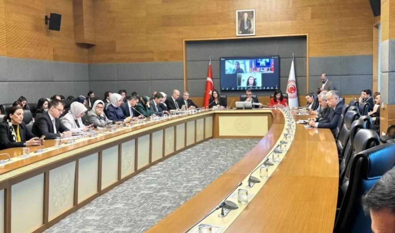 Uzman, Meclis'te 'Yapay Zeka'nın Etnik ve Dini Azınlıklara Karşı Önyargılı Olabileceği' Konusunda Uyardı
