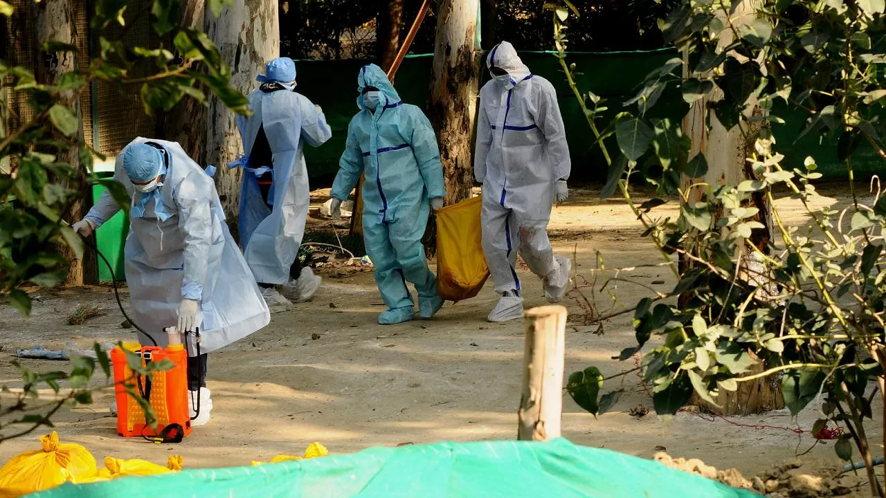 Meksika'da  H5N1 Kuş Gribi Vakası