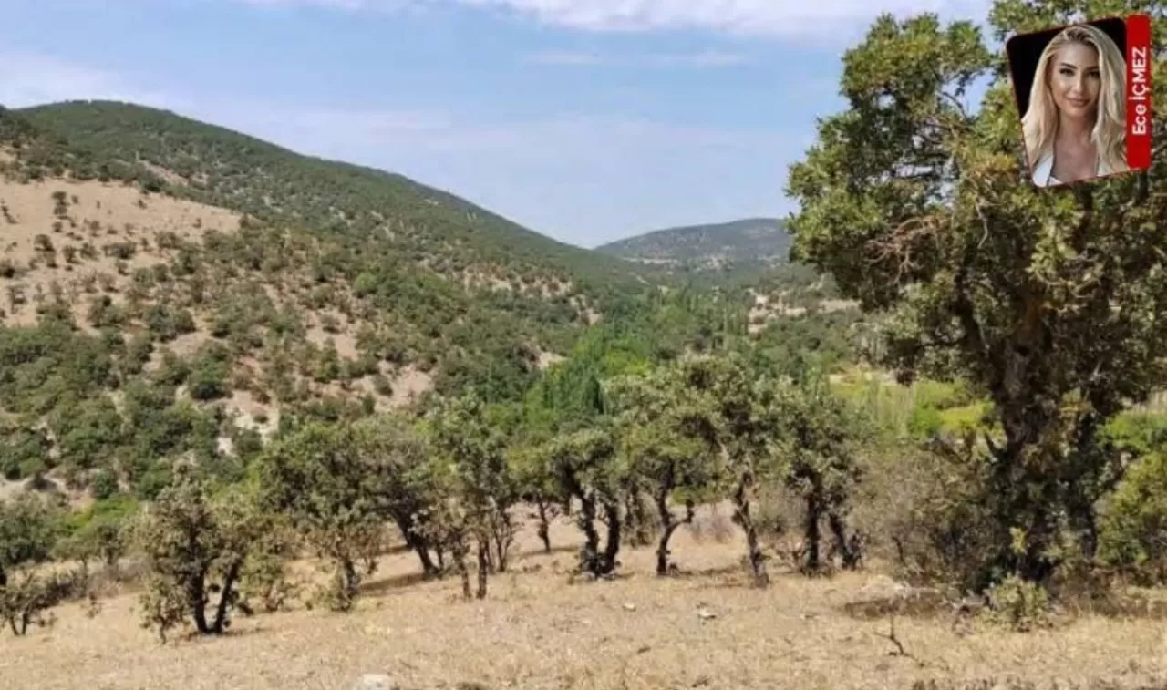 Eski Bakan Ağbal, İzmir'e Yenilenebilir Enerji Santrali İçin Çevresel Etki Değerlendirmesi Durduruldu!