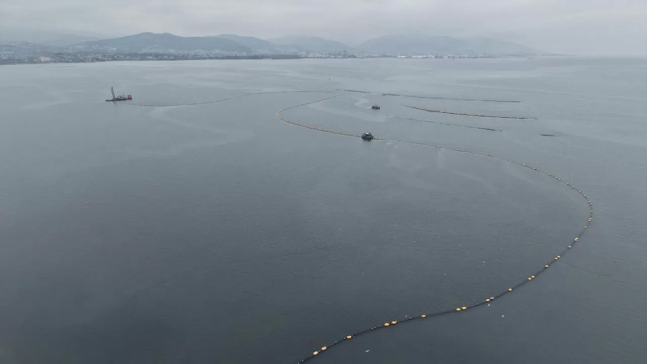 İzmit Körfezi'nde Yapılacak Düzenleme Sonrası Deniz Hayvanlarıyla Dolu Bir Akvaryum Gibi Olacak