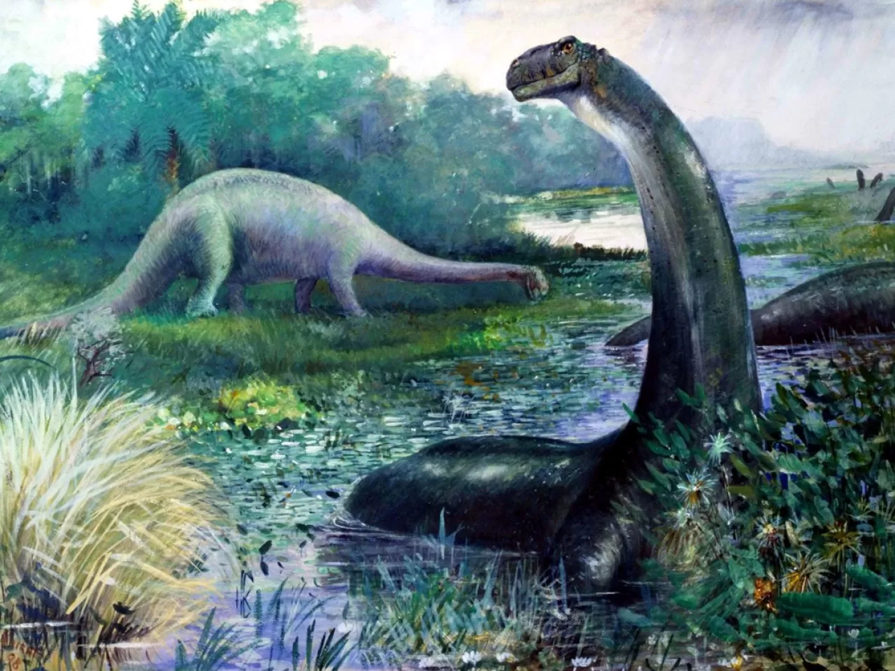 Dinozorda Kanser Türü İnsanlara Benzeyen Bir Tümör Bulundu