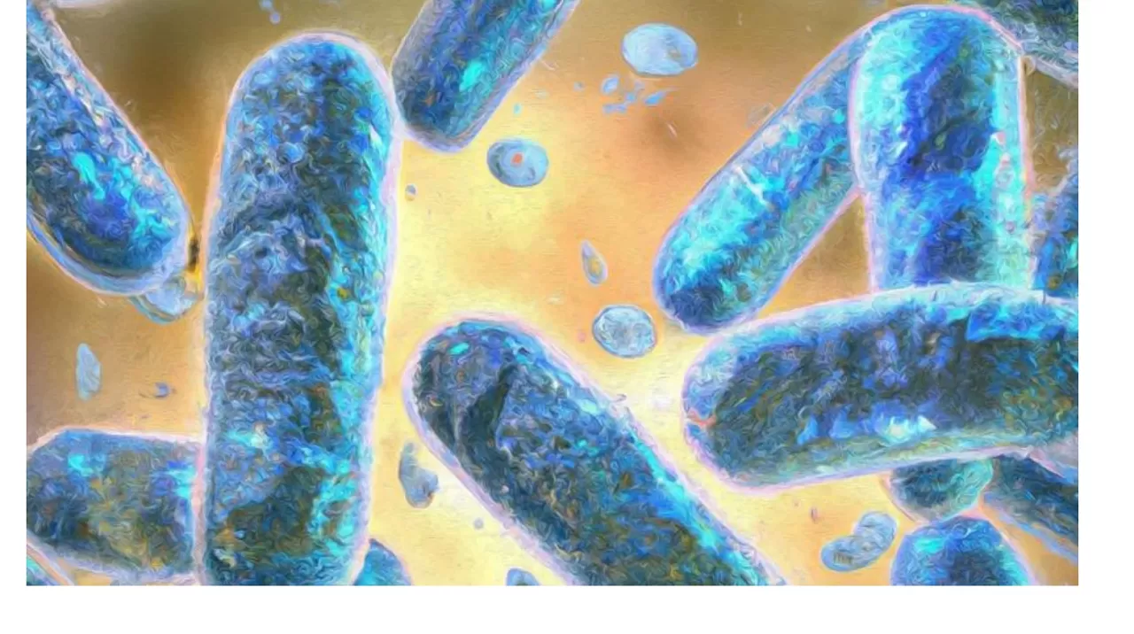 Bilim İnsanları, Yaşlanmayı Geri Çevirebilecek Yeni Bir Protein Keşfetti