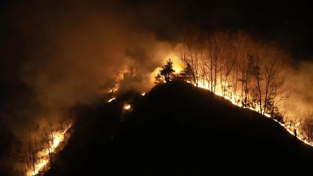 Güney Kore’deki Yangın Kontrol Altına Alındı