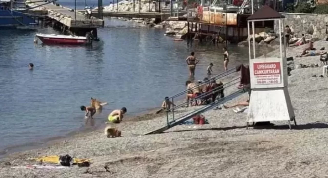 Havaların ısınmasıyla, Bodrum’da sahiller doldu, deniz sezonu açıldı