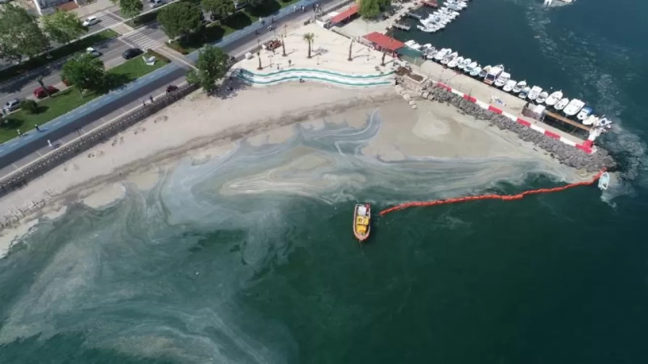 Balıkçılar Avlanamıyor: Marmara’da Müsilaj Krizi Derinleşiyor