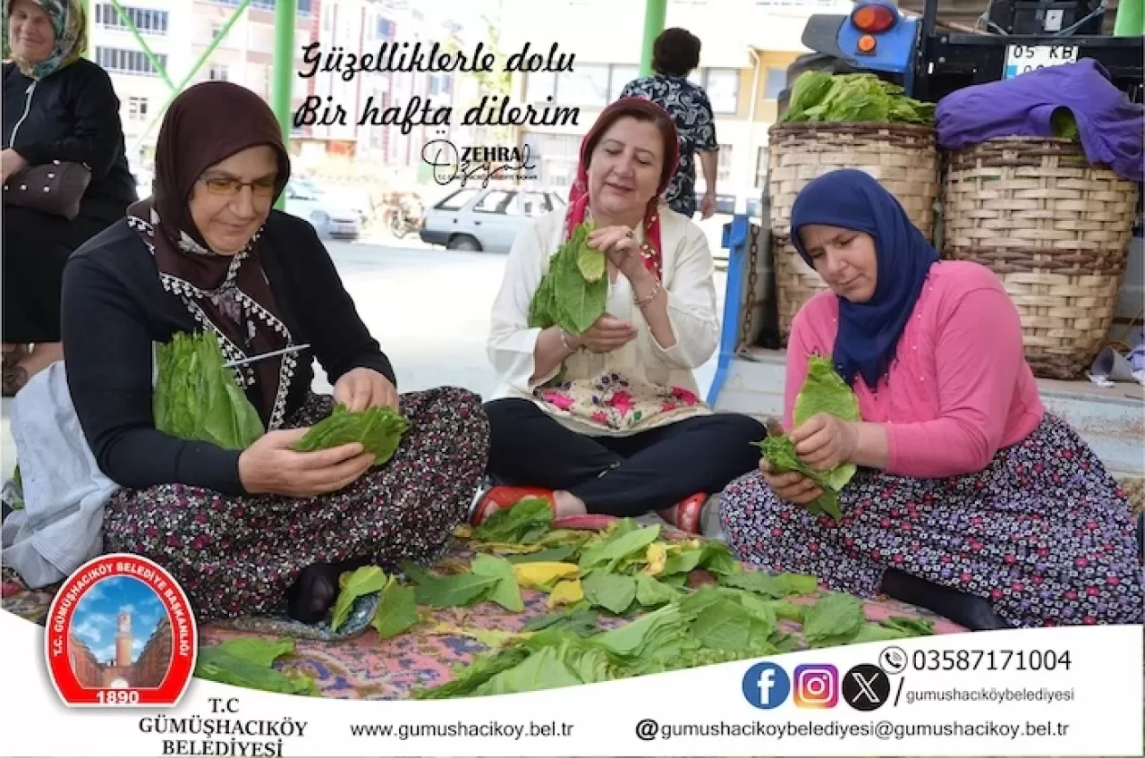 Kadınlar, Türkiye’de Bir İlçeyi Liderlikle Yönetiyor
