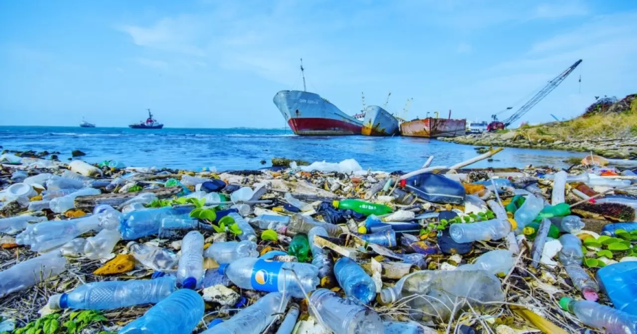 2024'te Çevreyi Kirletenlere 2 Milyar Lirayı Aşan Ceza Kesildi