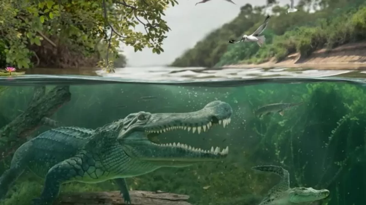 Dev ‘Terör Timsahı’ Deinosuchus’un Sırrı Çözüldü!