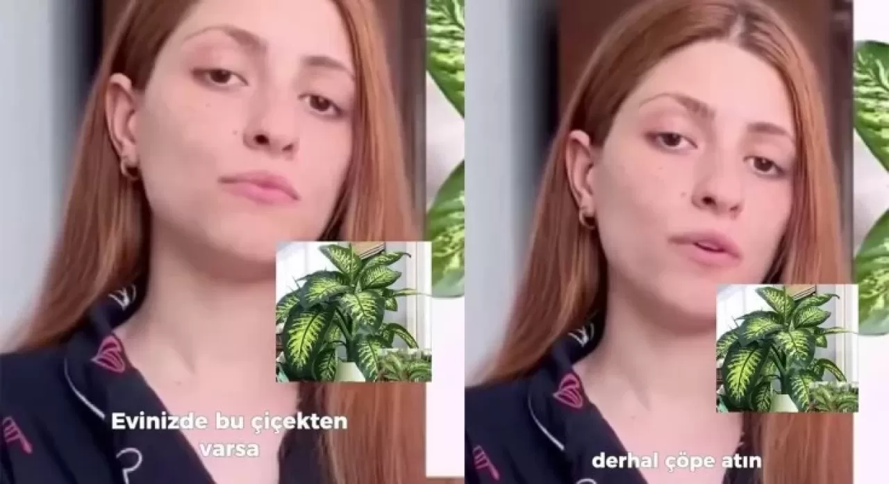 Bu bitki her evde bulunuyor! Evinde bulunanlar dikkat! Meryem Can’ın başına gelenler şoke etti