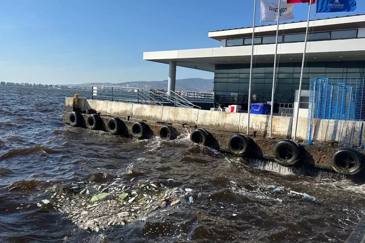 İzmir Körfezi Can Çekişiyor: Deniz Artık Bir "Kirlilik Tuzağı" Haline Geldi!