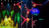 Dünya Devinden Görkemli Dönüş: Cirque du Soleil "OVO" ile İstanbul’da!