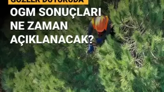 2025 yılı OGM personel alımı başvuru sonuçları heyecanla bekleniyor!