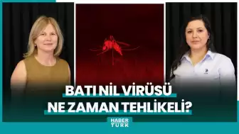 Uzman: Batı Nil Virüsü Özellikle Bebeklerde ve Yaşlılarda Daha Ciddi Etkiliyor