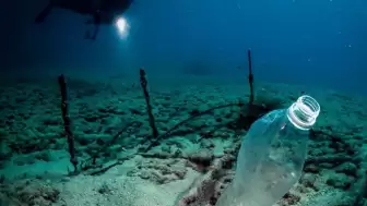 Sıfır Atık Vakfı, denizlerin korunması için harekete geçiyor!