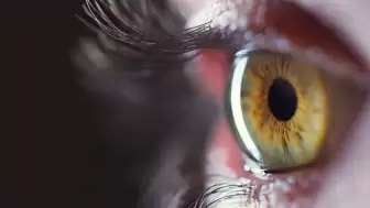 Hiç Görmediğiniz Bir Renk Artık Var!