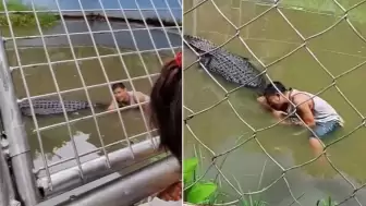 Timsahı Heykel Sandı, 30 Dakikalık Dehşeti Yaşadı!