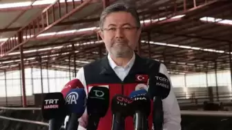 Kırsal Kesimde Hayvancılığa Yönelik Yeni Bir Destek Projesi Başlatılıyor