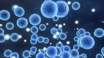 Strep A Vakasında Artış: Yunanistan’da 9 Okul Kapatıldı