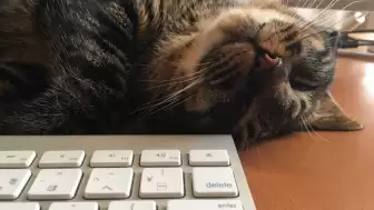 Çalışma Hayatında Sinsi Kopuş: Sessiz Çatlama