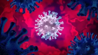 COVID-19’un yeni alt türevi BA.3.2 mercek altında: Yayılım hızı artıyor!