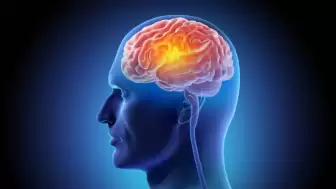 Zihninizi yaşlandıkça keskin tutabilir: Yeni araştırma bu Akdeniz tarzı diyeti işaret ediyor