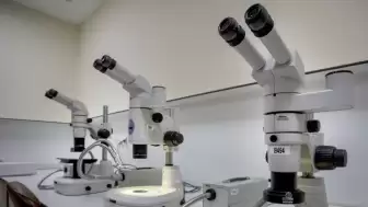 Bir Damla Kan İzi, 19 Ay Önceki Gasp Cinayetini Çözdü