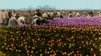 Görüntünün Büyüsü: İstanbul Modern’de "Sessiz Film Günleri" Başladı