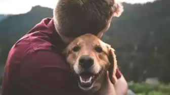 Köpek sahibi olmak kalp krizi kaynaklı ölüm riskini azaltıyor