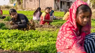 Çiftçinin Kara Gün Dostu Gübre Cep Yakıyor! Üre Fiyatlarında Sert Yükseliş: Gıda Güvenliği Büyük Risk Altında!