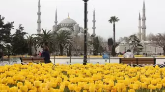 2026 İSTANBUL LALE FESTİVALİ