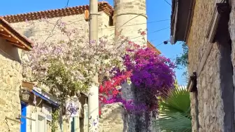 Dünya Sahnesinde Bir Ege Kasabası: Eski Datça "En İyi Turizm Köyü" İçin Aday!