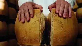 Gastronomide Bir Efsane: Gerçek Parmesan ve Taklitleri Arasındaki Fark
