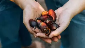 Gastronomi Rotası: Brezilya’nın "Kutsal" Yağı Dendê ve Sokak Lezzetleri