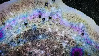 İnsan hücresinde beklenmedik bulgu: Mikroskobik rüzgarlar keşfedildi