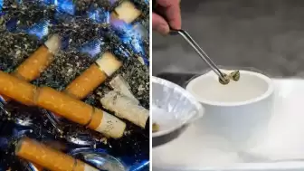 Yeni Araştırma: Psikedelik Mantarlar Sigarayı Bırakmayı Kolaylaştırabilir Mi?