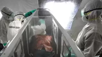 Ebola virüsü nedir, nasıl bulaşır?