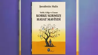Edebiyatta Alışılmış Kalıpları Yıkan Bir Başyapıt: “Korku Kırmızı, Hayat Maviydi”