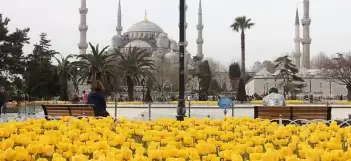 2026 İSTANBUL LALE FESTİVALİ