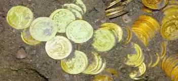 Doğa Gezisi Beklenmedik Bir Hazine Bulgusuna Sahne Oldu