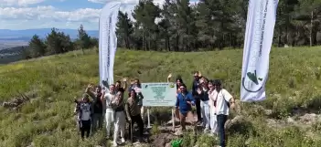 Bir yazarın çağrısı üç yılda yedi ormana dönüştü