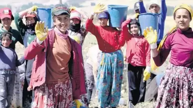 Çocukların Yüzde 8,7’si Eğitim Sisteminin Dışında Kalıyor