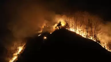 Güney Kore’deki Yangın Kontrol Altına Alındı