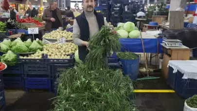 Doğal Kaynaklardan Gelen Sınırsız Faydalar: Doğanın Kendiliğinden Yetiştirdiği mucize Ürün!