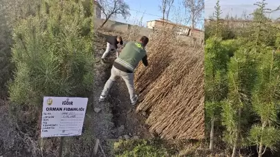 Iğdır'da çevre dostu hareket: 4 bin fidan toprakla buluştu!