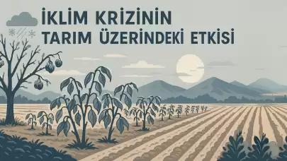 İklim Değişikliği ve Zirai Don: Türkiye Tarımı Nasıl Etkiliyor?