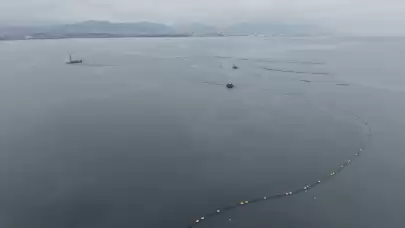 İzmit Körfezi'nde Yapılacak Düzenleme Sonrası Deniz Hayvanlarıyla Dolu Bir Akvaryum Gibi Olacak