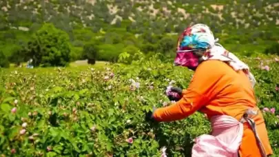 Turizmde Umut, Ekonomide Direnç: Hasat Başladı Ama Don Önce Davrandı!