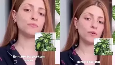 Bu bitki her evde bulunuyor! Evinde bulunanlar dikkat! Meryem Can’ın başına gelenler şoke etti