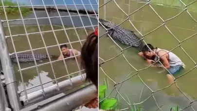 Timsahı Heykel Sandı, 30 Dakikalık Dehşeti Yaşadı!